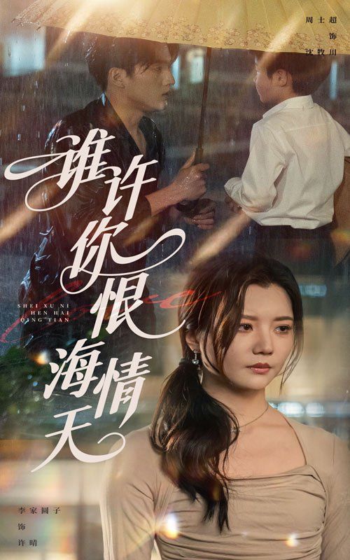 谁许你恨海情天海报