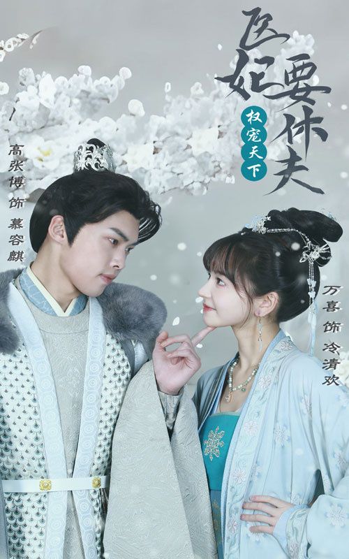 权宠天下：医妃要休夫海报